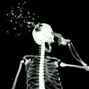 Meet your Posher, Phil